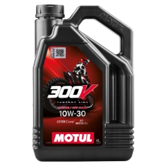 300V FL 10W30 1L